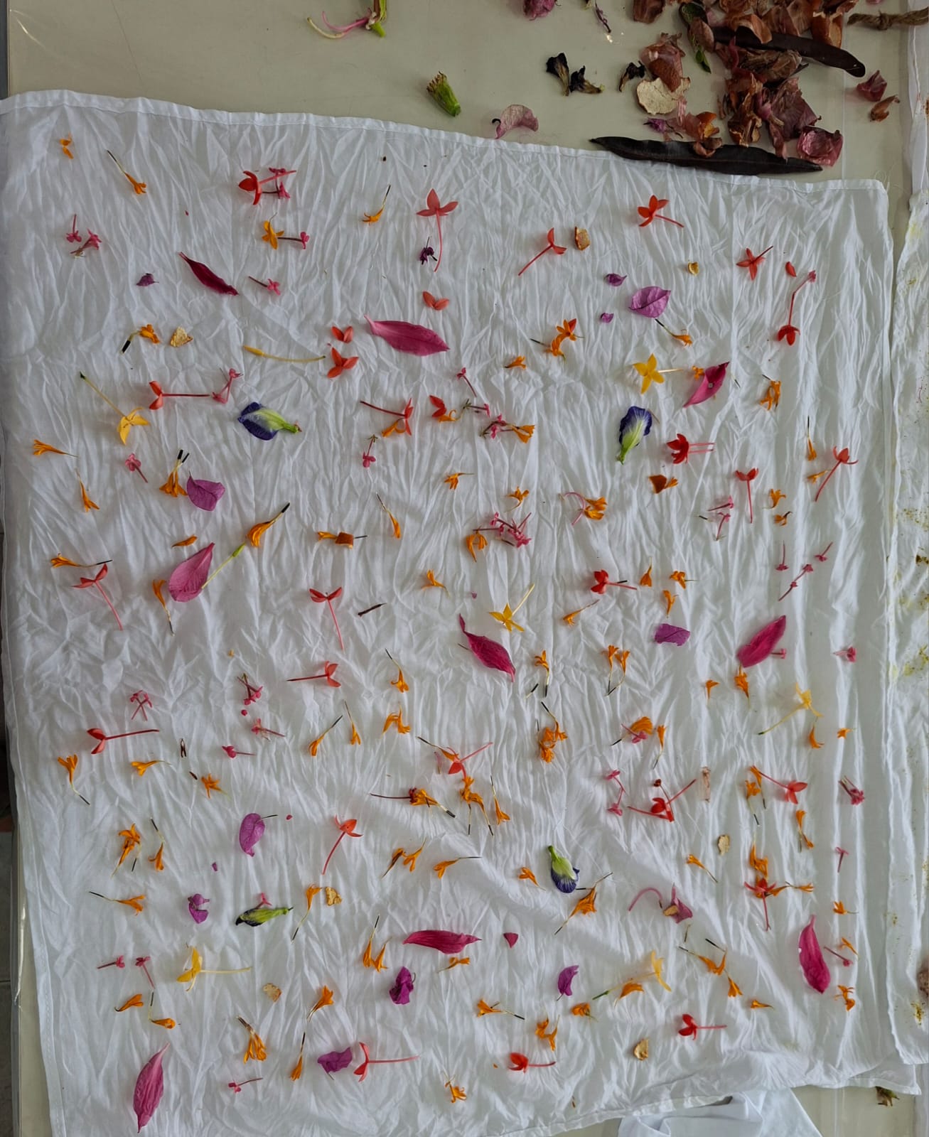 Fresh petals and flowers scattered across a white cloth before bundling