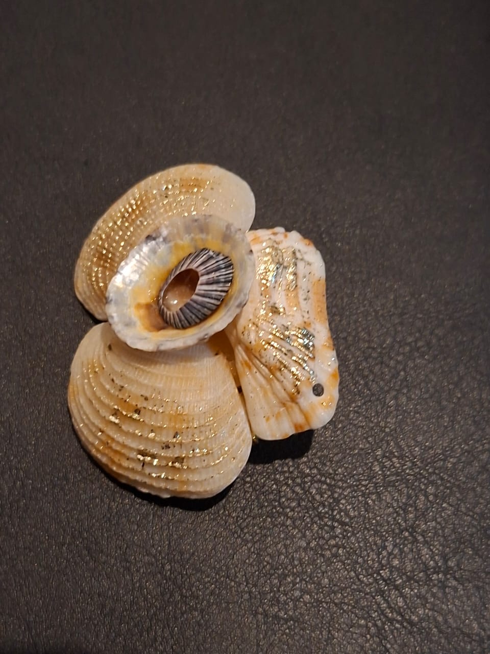 A brooch of ribbed cockle shells scattered with gold leaf