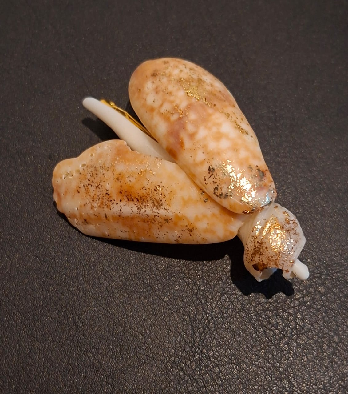A brooch of two speckled cowrie shells caught with gold leaf