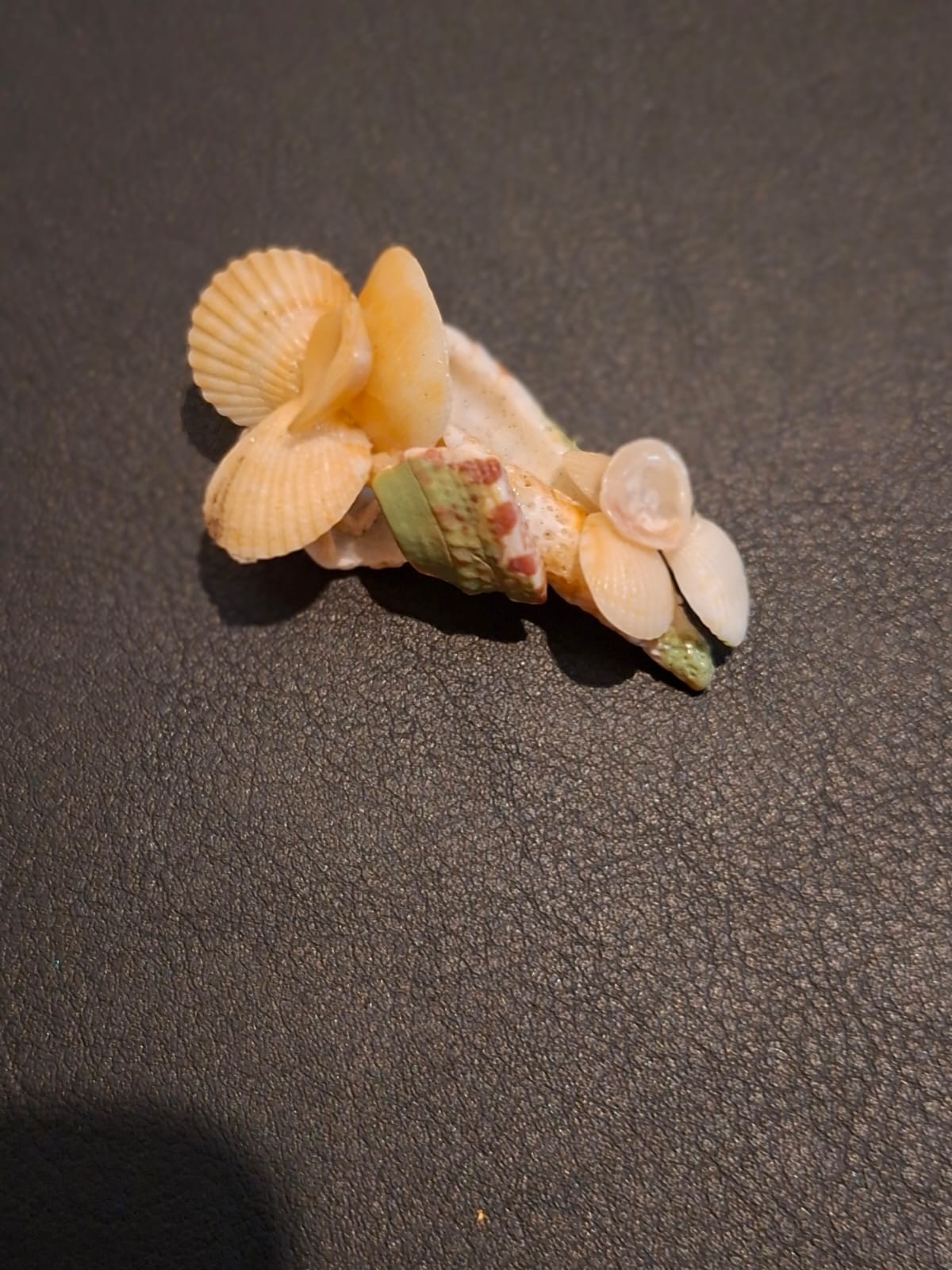 A small cluster brooch of fan shaped shells and a green glazed band